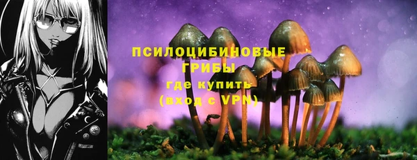 твердый Володарск