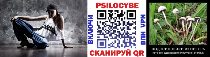 Псилоцибиновые грибы мухоморы  Кизел 